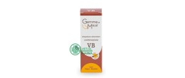 Gemme di Micol VB 30 ml