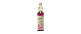 Bach Original Elm Gocce 20 ml