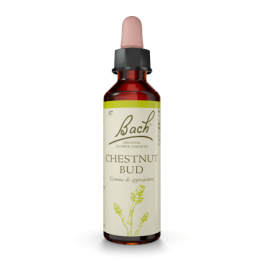 Bach Original Chestnut Bud 20 ml