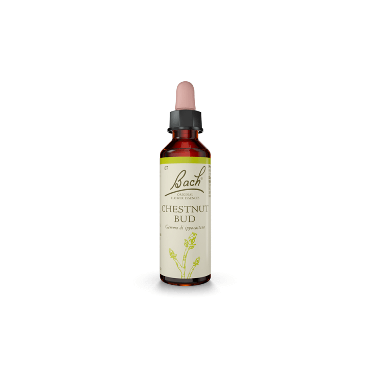Bach Original Chestnut Bud 20 ml