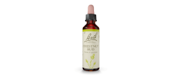 Bach Original Chestnut Bud 20 ml