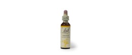 Bach Original Cerato Gocce 20 ml