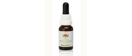 Australian Bush Flower Dog Rose 15 ml
