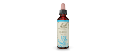 Bach Original Beech 20 ml