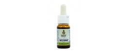 Nasyamap Olio Eutrofico ed Emolliente 10 ml