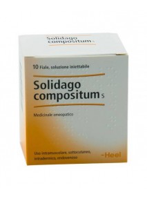 Heel Solidago Compositum 10...