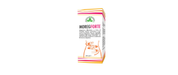 Benessere Moringa Moreg Forte 200 ml