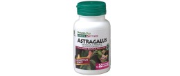 Nature's Plus Herbal Actives Astragalo 60 Capsule