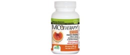 Micotherapy Reishi 90 Capsule