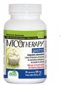 Micotherapy  Gastro 90 capsule