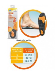 SCHOLL PLANTARE LOMBARE L 2PZ