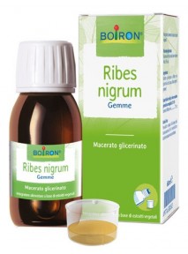 Ribes Nigrum Macerato...