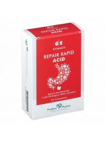 Gse Repair Rapid Acid 36...