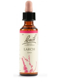 Fiori di Bach Larch 20 ml