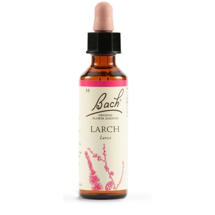 Bach Original Larch 20 ml