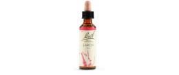 Bach Original Larch 20 ml
