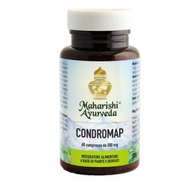 Condromap 60 compresse