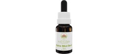 Australian Bush Flower Alpine Mint Bush 15 ml