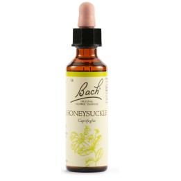 Bach Original Honeysuckle 20 Ml