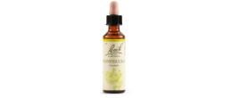 Bach Original Honeysuckle 20 Ml