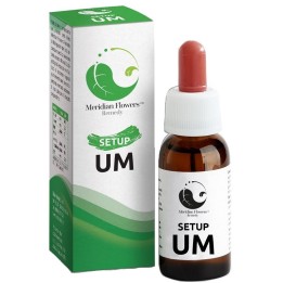 Meridian Flowers Setup UM 10 Ml