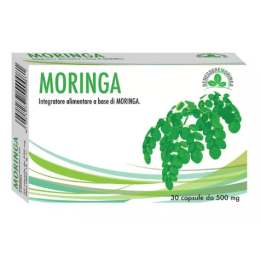 Moringa Oleifera 30 capsule