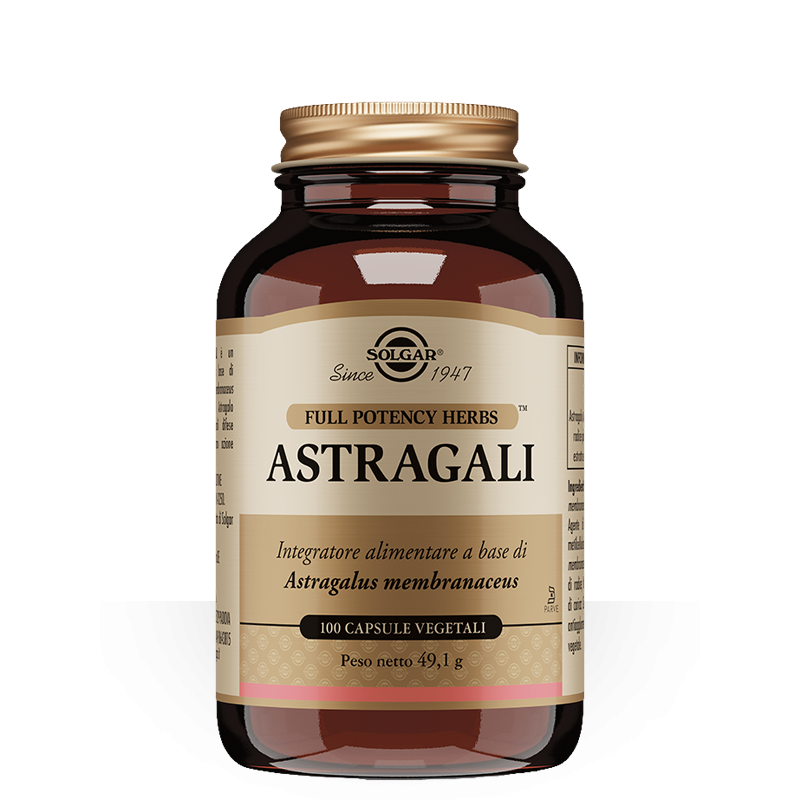 Astragali