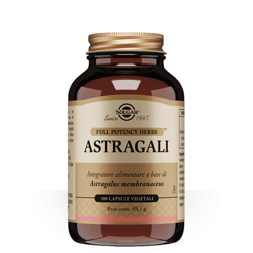 Astragali