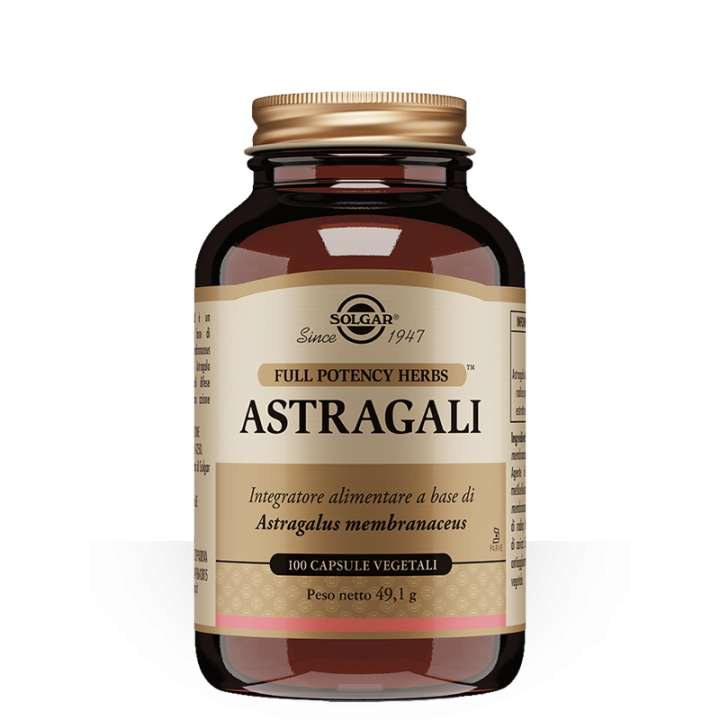 Astragali