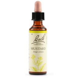 Bach Original Mustard 20 ml