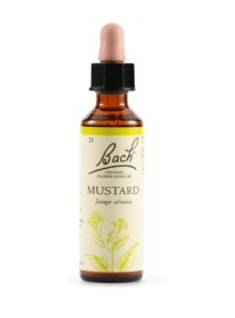Bach Original Mustard 20 ml