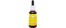 Australian Bush Flower Ottimismo 30 ml