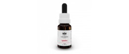 Australian Bush Flower Spinifex 15ml
