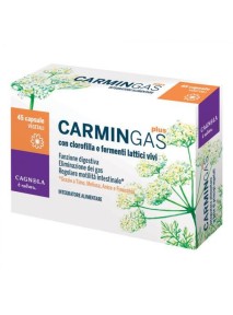 Dott. Cagnola Carmin Gas...