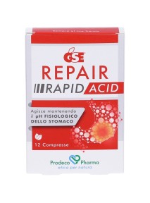 GSE Repair Rapid Acid 12...