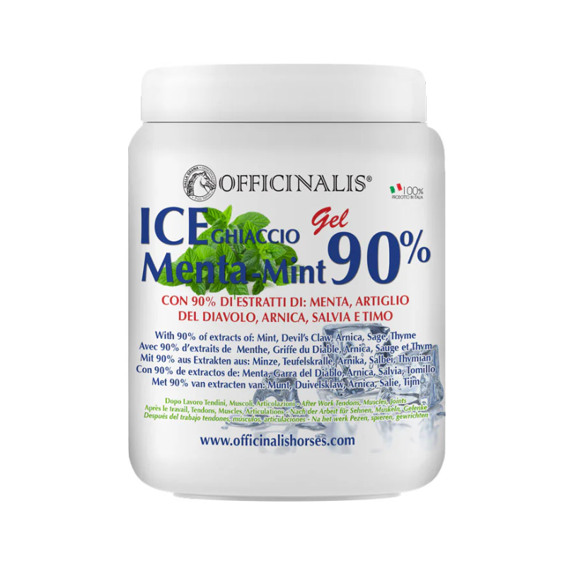 Officinalis Ice Menta Gel 90% 1000 ml