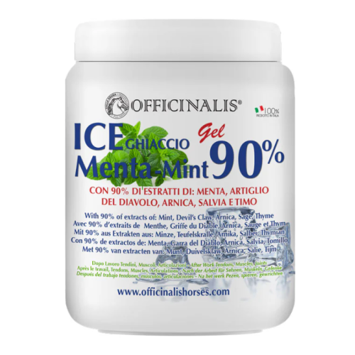 Officinalis Ice Menta Gel 90% 1000 ml
