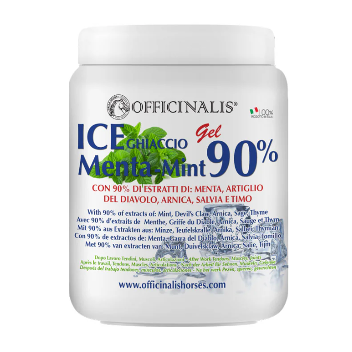 Officinalis Ice Menta Gel 90% 1000 ml