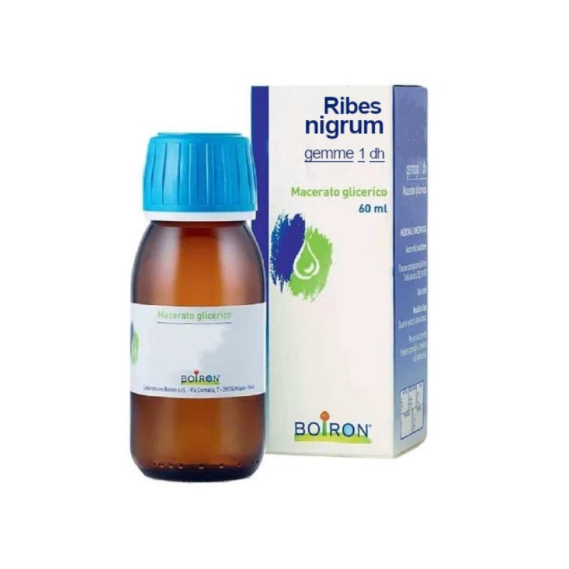 Boiron Ribes Nigrum Macerato Glicerico Gocce 60 ml