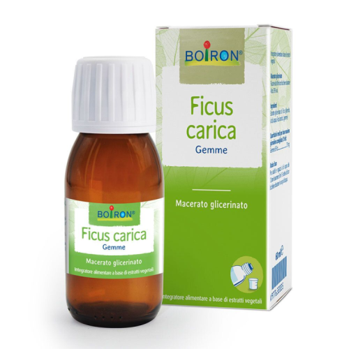 Boiron Ficus Carica Gemme Macerato Glicerico 60 ml