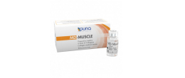 Guna MD-MUSCLE 5 flaconcini da 2 ml