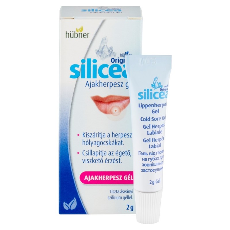 GEL SILICEA PER HERPES LABIALE HUBNER 2G