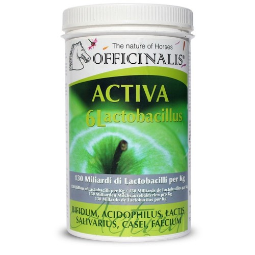 OFFICINALIS ACTIVA 6 LACTOBAC