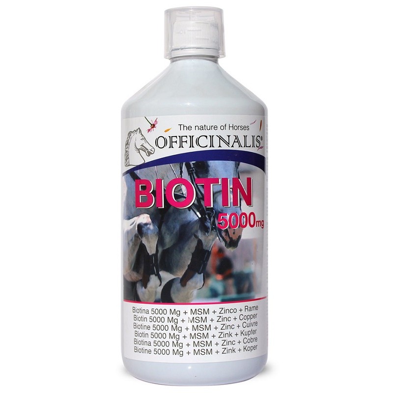 OFFICINALIS BIOTINE 5000 1KG