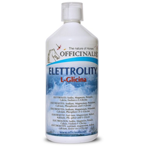 OFFICINALIS ELETTROLITY L-GLIC