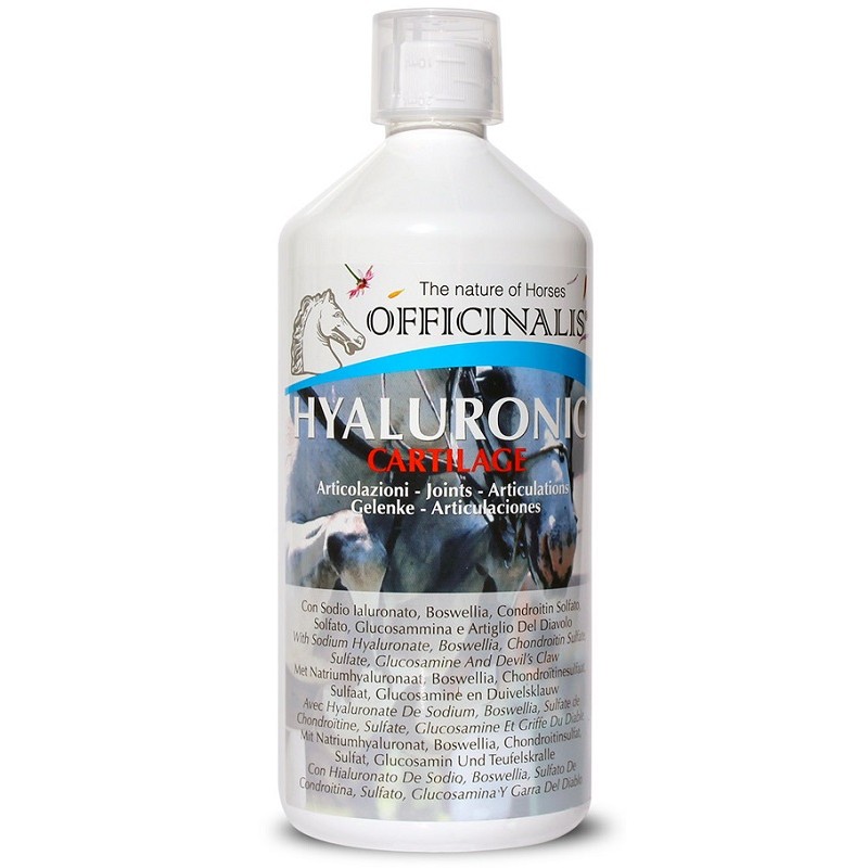 OFFICINALIS IALUR CARTILAGE