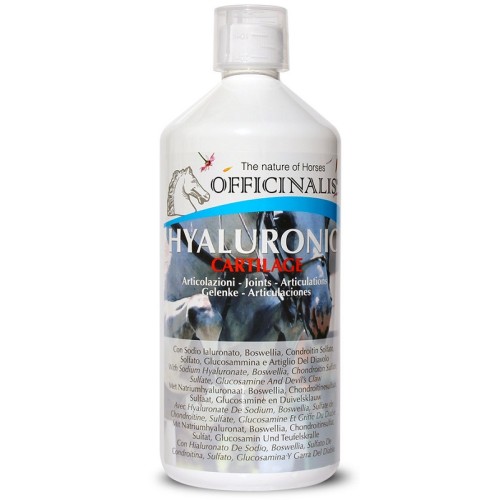 OFFICINALIS IALUR CARTILAGE