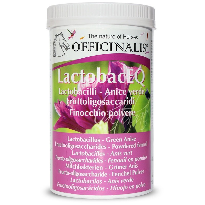 OFFICINALIS LACTOBAC EQ 800G