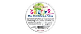GELATINO MELA MELISSA 120G