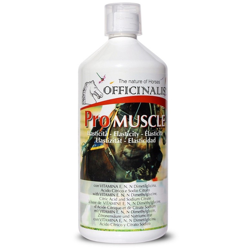 OFFICINALIS PRO MUSCLE  1L